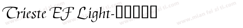 Trieste EF Light字体转换